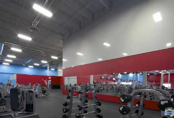 amazing gym with gray and red custom wall cover