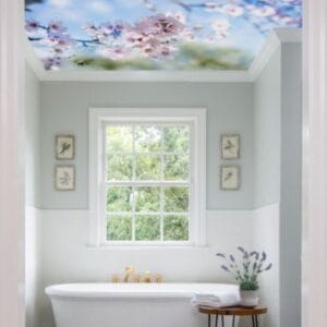 custom printed backlit ceilings in the ensuite